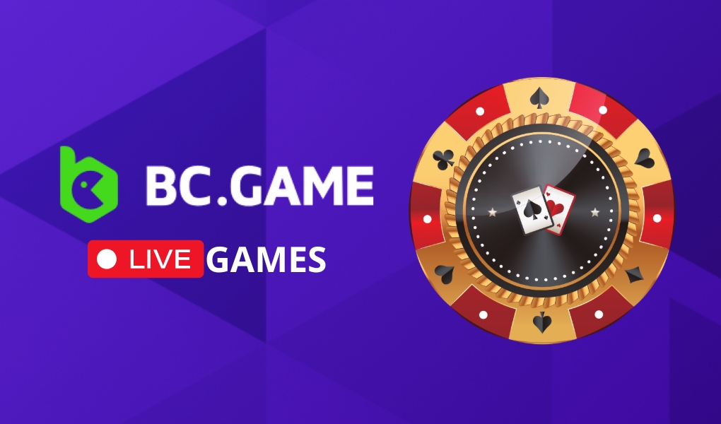 Everything You Need to Know About Bcigra Betting Everything You Need to Know About Bcigra Betting